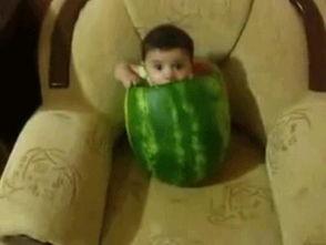 吃瓜吧图片,吃瓜吧！揭秘娱乐圈那些不为人知的幕后故事