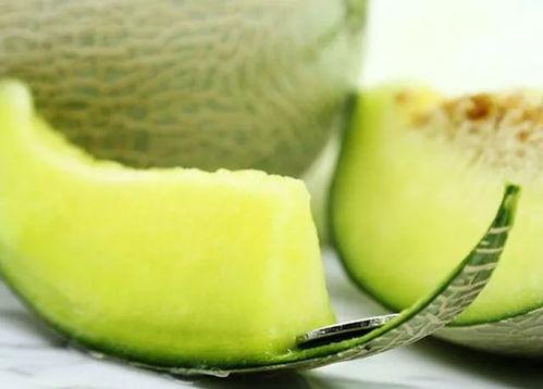 吃海阳网纹瓜,夏日里的甜蜜诱惑，品味传统与自然的完美交融