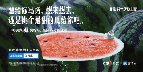 吃瓜文案图,跟随图文，轻松解锁瓜界新姿势