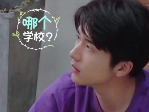 张新成吃瓜,娱乐圈的“瓜田”再起波澜