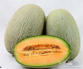 普明吃哈密瓜,甜蜜滋味尽在其中