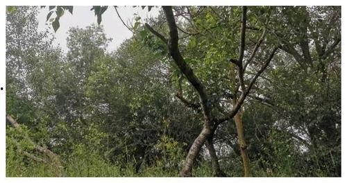 甘肃9岁男孩吃瓜,紧急救治传递生命温度