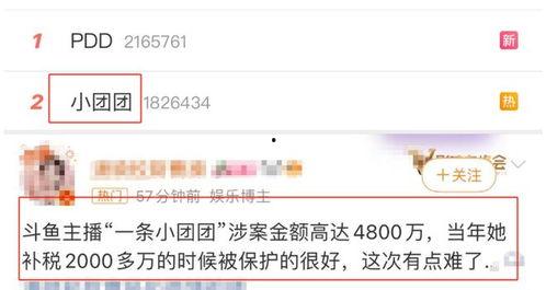 网络上吃瓜语言,揭秘热门事件背后的真相与笑料