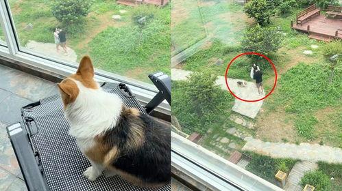 有人吵架狗狗吃瓜,见证邻里争吵现场