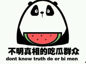 吃瓜群众说政治,吃瓜群众视角下的政治风云