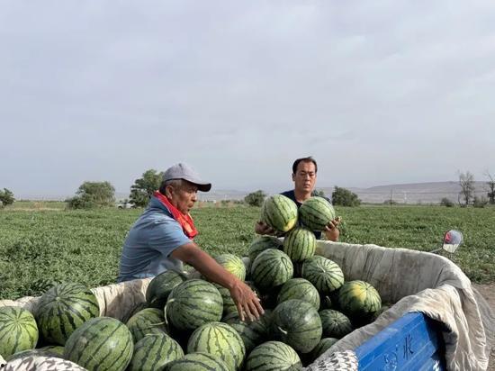 夏花吃瓜,夏日里的美味时光