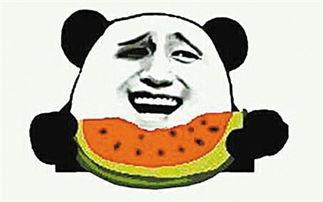 禁毒吃瓜群众视频素材,吃瓜群众视角下的真实瞬间