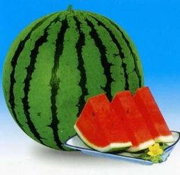 带你吃瓜外卖的奇葩放法,奇葩创意，趣味十足