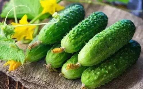 高级吃瓜的做法,轻松成为社交达人