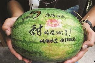 谷谷吃瓜,揭秘娱乐圈那些不为人知的幕后故事