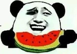 吃瓜群众保护狗头