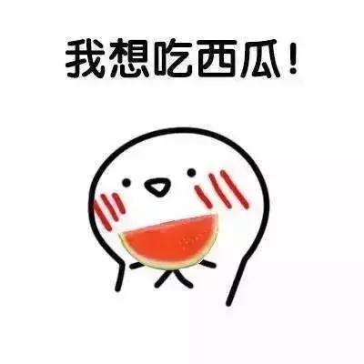 坐等吃瓜有瓜砸来,揭秘网络热词背后的趣味与哲理