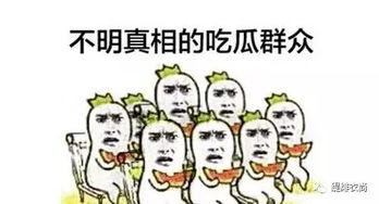 小度带你吃瓜,揭秘娱乐圈那些事儿