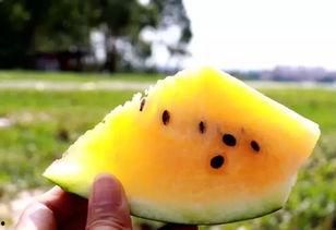 吃瓜仲夏,揭秘娱乐圈的甜蜜与苦涩